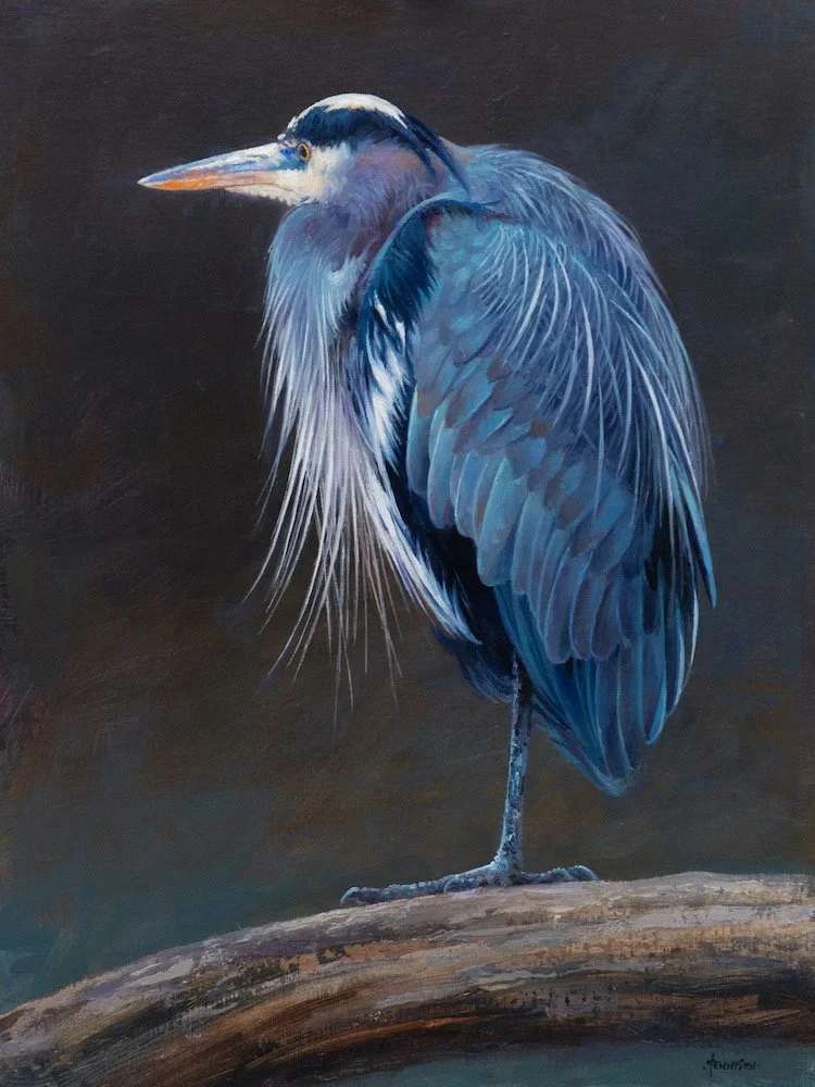 Portrait of a Great Blue Heron - oil on linen by James Tennison